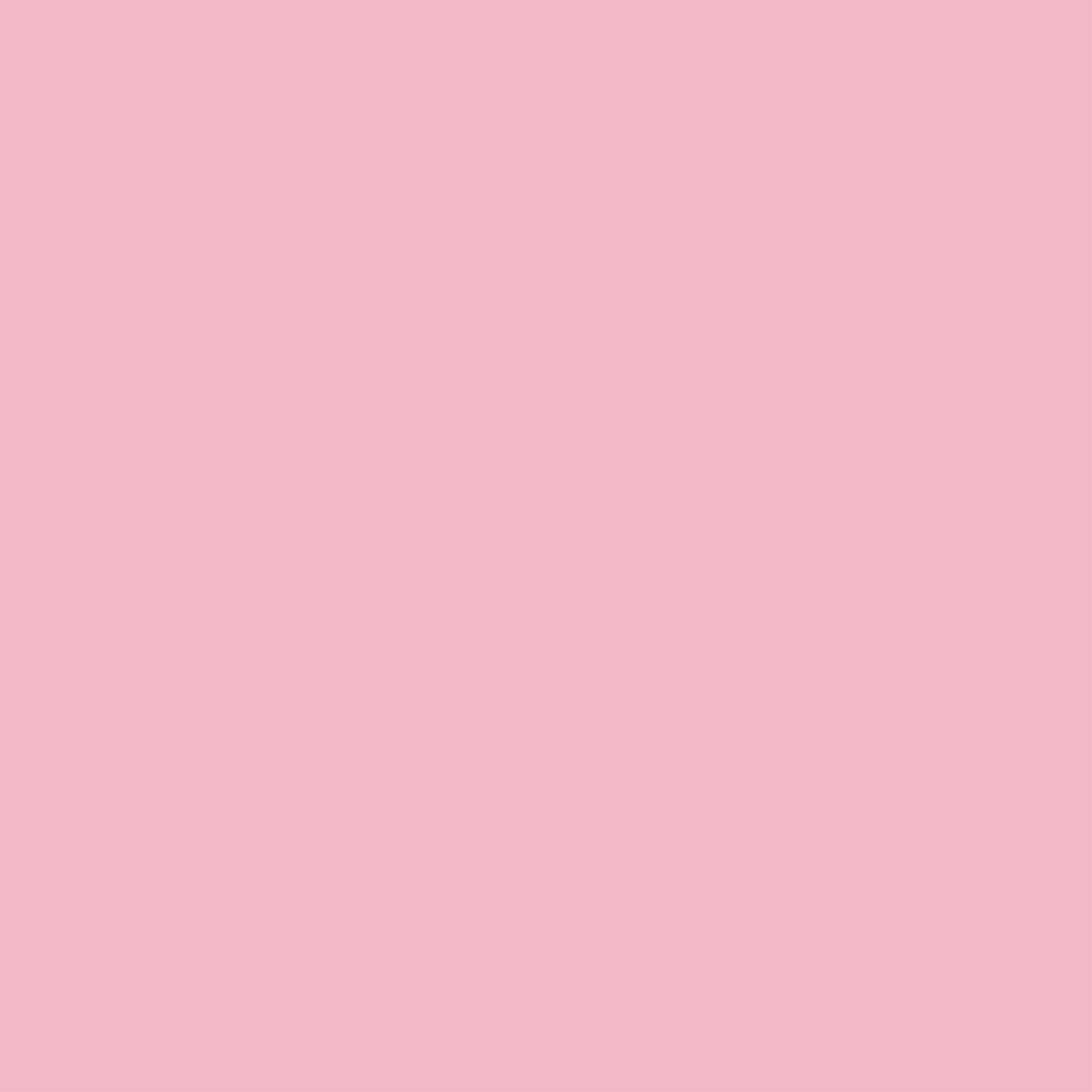 FP NAIL VEGAN No. 02 Soft Rose