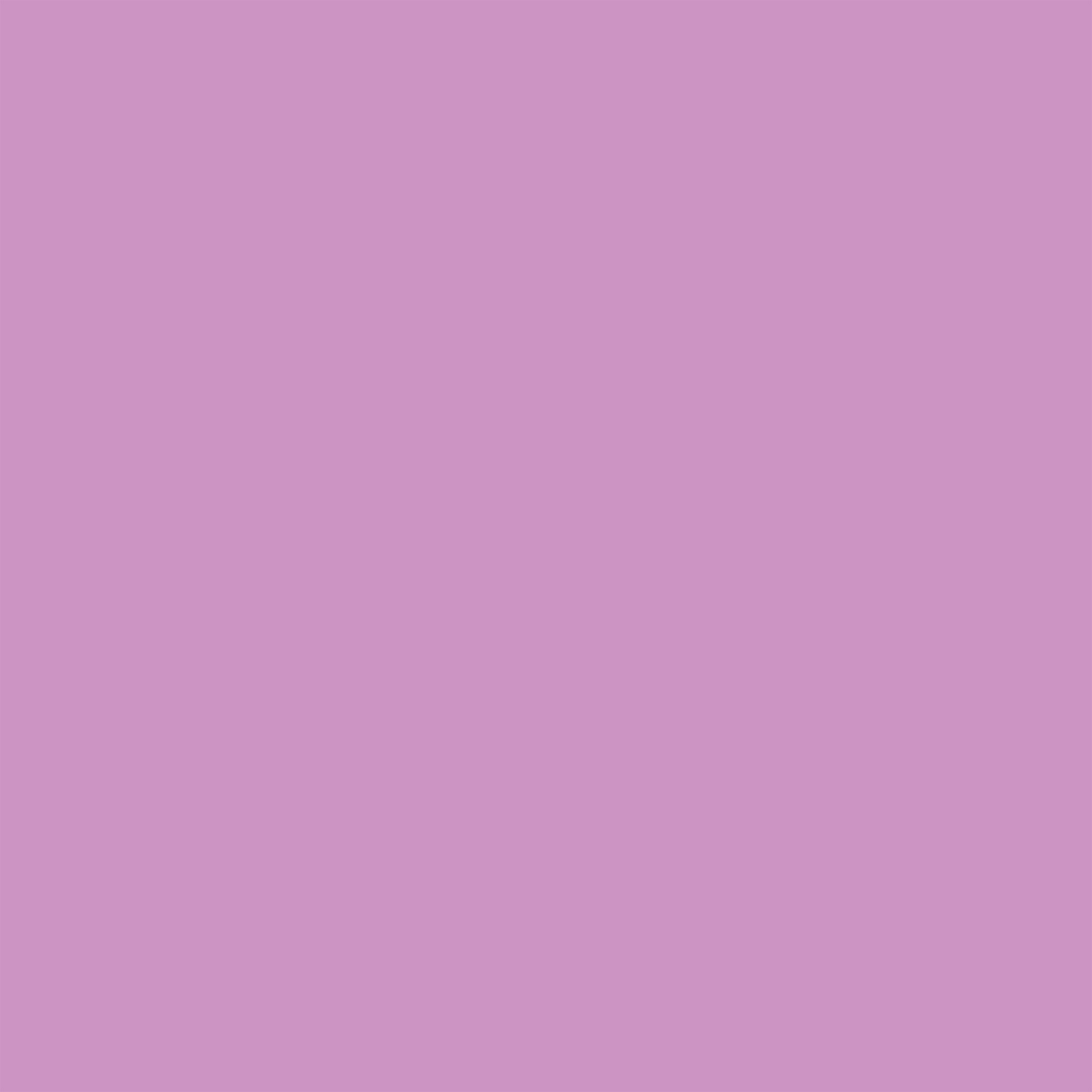 FP NAIL VEGAN No. 07 Lilac