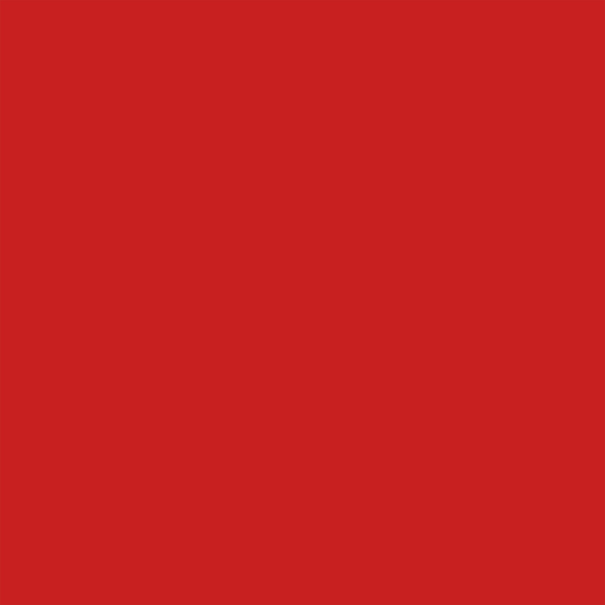 FP NAIL VEGAN No. 08 Coral Red