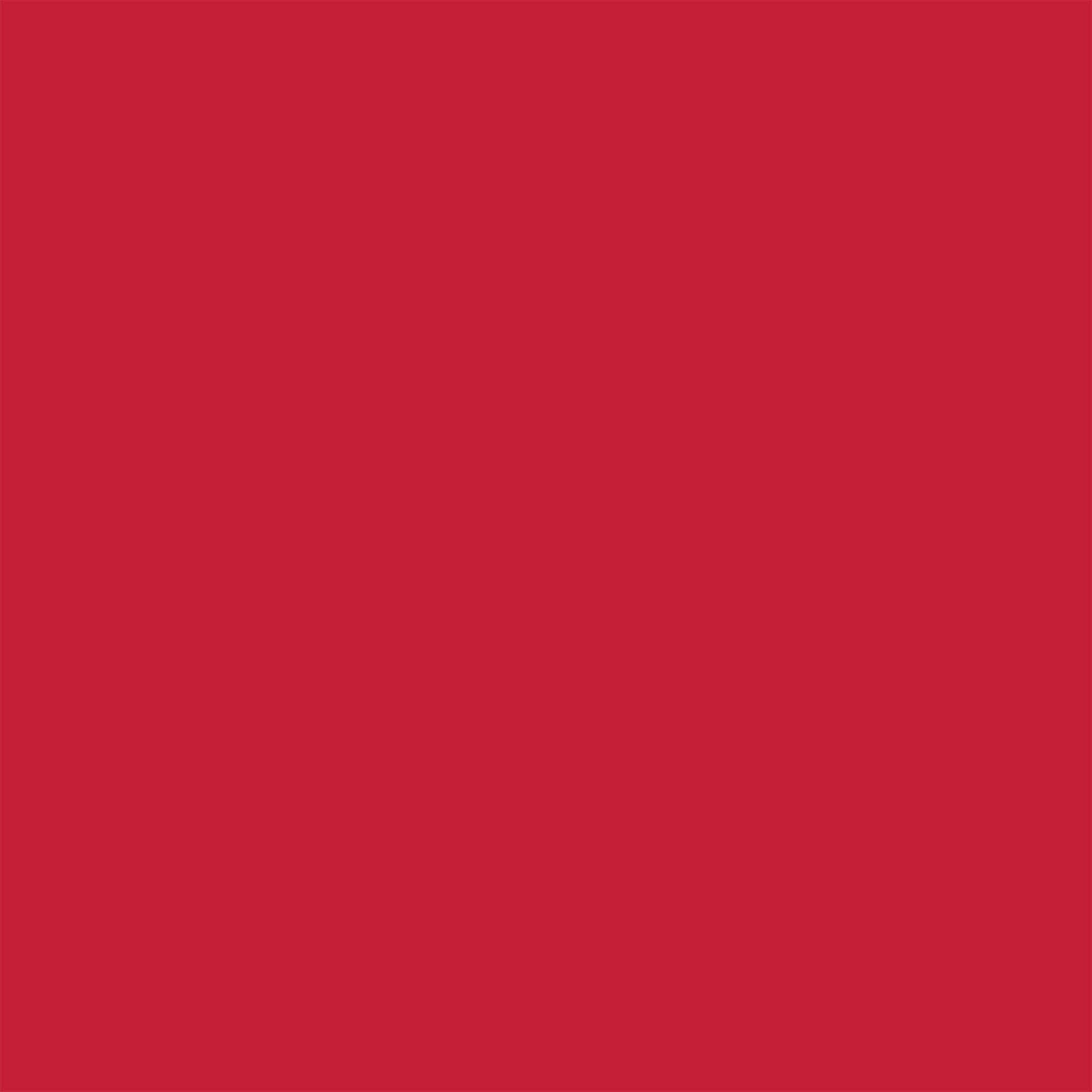 FP NAIL VEGAN No. 09 Rubin Red