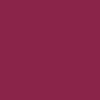 FP NAIL VEGAN No. 10 Dark Red