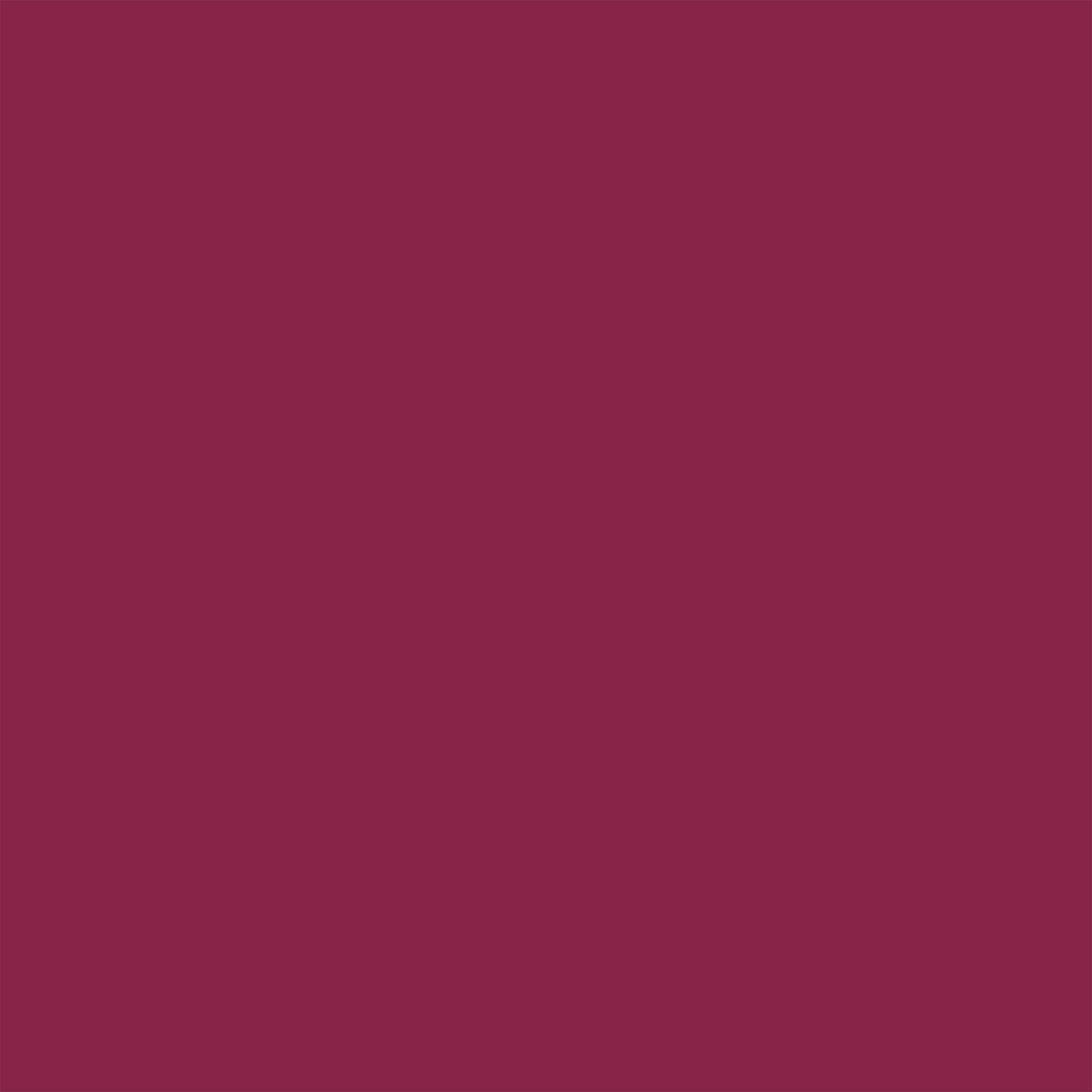 FP NAIL VEGAN No. 10 Dark Red