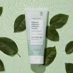 Sugar Scrub + Bubble Wash For Scalp and Body - Rainforest Mist
