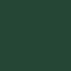 FP TESTER Kajal Bio 03- Green