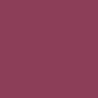 FP TESTER Lip Pencil Bio No. 07 Violet Raisin
